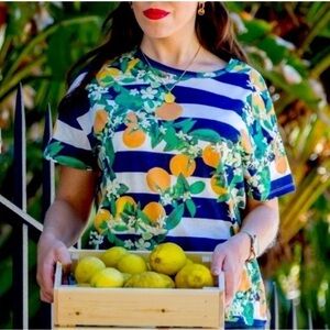 Zara Graphic Orange Citrus Navy Striped Tee Size Small
